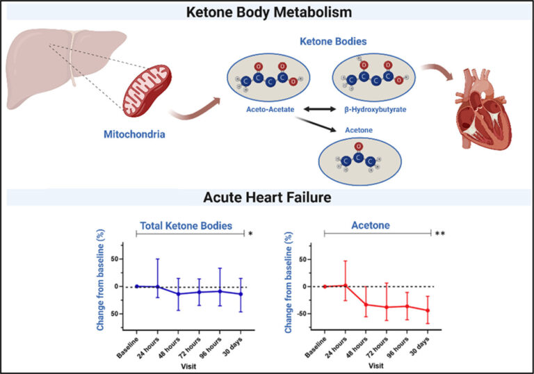 Publication Longitudinal changes in circulating ketone body levels in